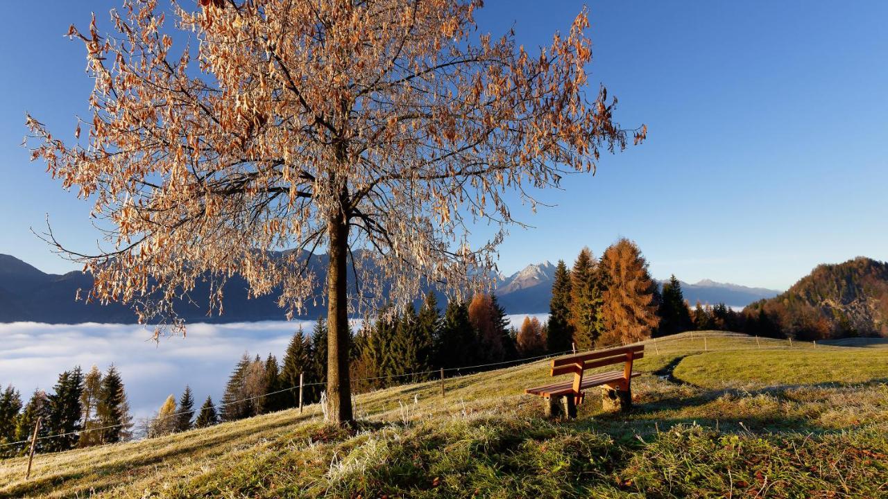 Panoramahof am Goldberg Dellach (Hermagor) Exterior foto
