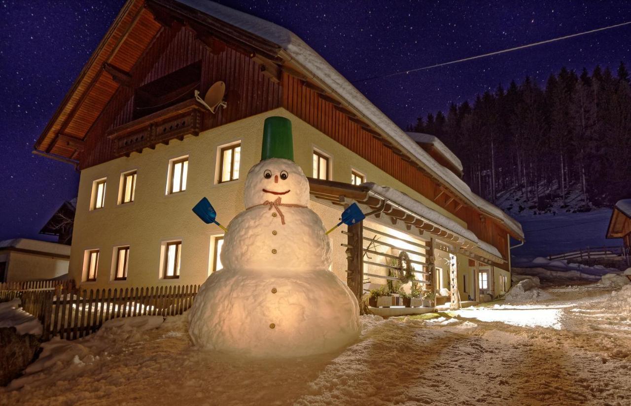 Panoramahof am Goldberg Dellach (Hermagor) Exterior foto